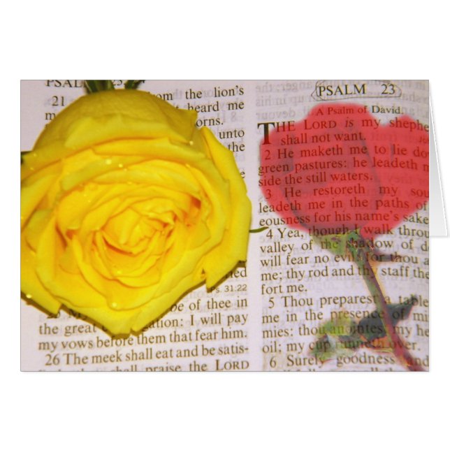 Cartão Eu não vou querer (Frente Horizontal)