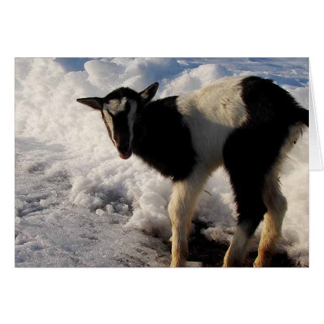 Cartão Eu odeio o Winter. Aqui está o Primavera de Hoping (Frente Horizontal)