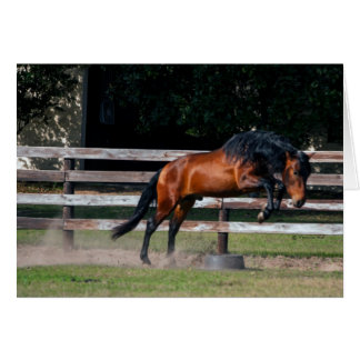 Cartão Eu Posso Saltar