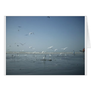 Cartão Eu posso voar