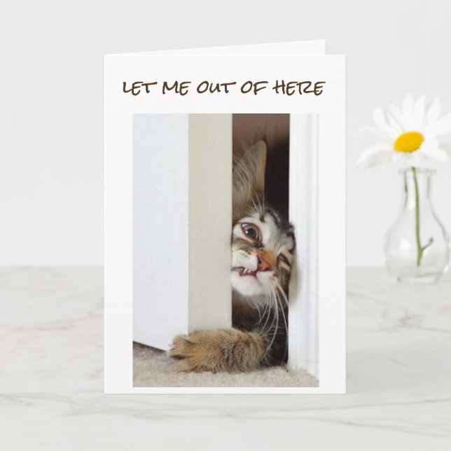 CARTÃO EU QUERO DIZER **FELIZ 11 ANIVERSÁRIO** PARA "VOCÊ (Planta pequena)