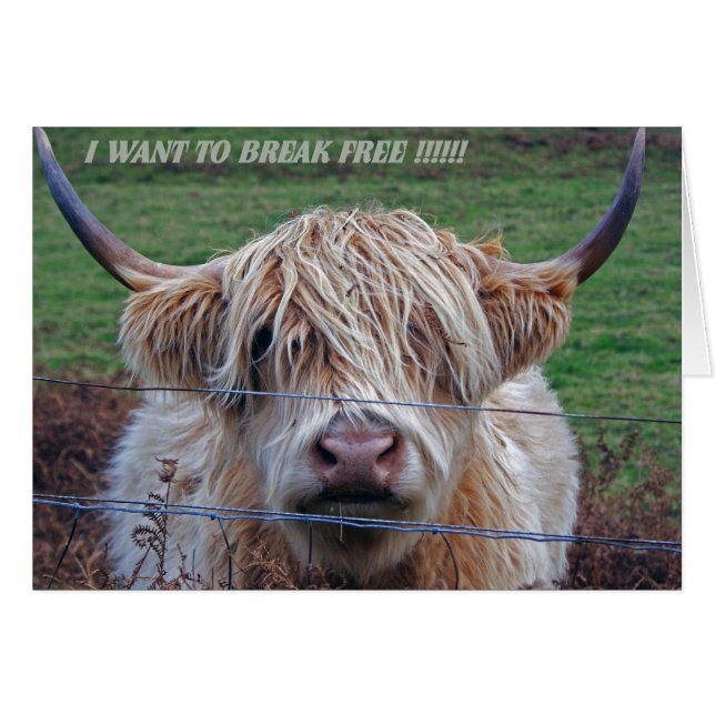 Cartão Eu quero me libertar (Frente Horizontal)