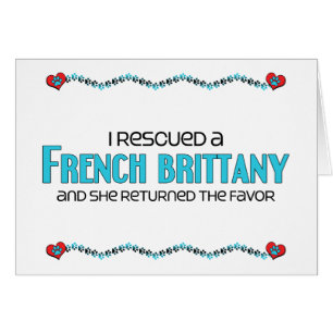 Cartão Eu salvei um Brittany francês (o cão fêmea)