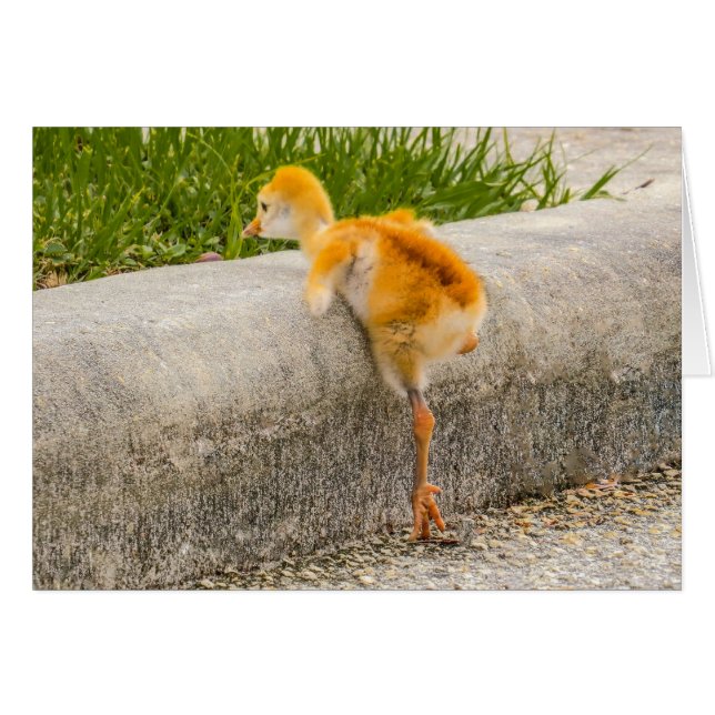 Cartão Eu sei que posso. Eu sei que posso (Frente Horizontal)