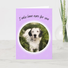 Cartão Eu só tenho olhos para você Namorados de cachorro
