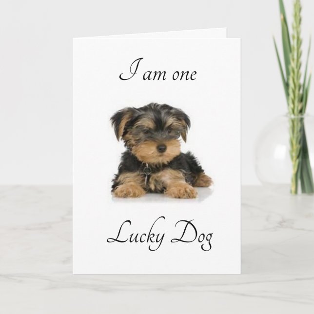 CARTÃO EU SOU "CASADO COM VOCÊ" SORTE, EU SOU (Frente)