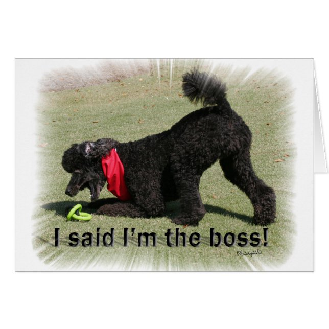 Cartão Eu sou o chefe (Frente Horizontal)