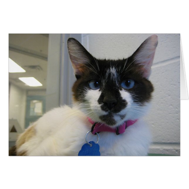 Cartão Eu Também Te Vejo (Frente Horizontal)