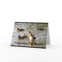 Eu Te Amo Esse Muito Dia de os pais