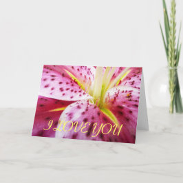 Cartão Eu Te Amo Stargazer Lily Card