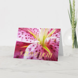 Cartão Eu Te Amo Stargazer Lily Card