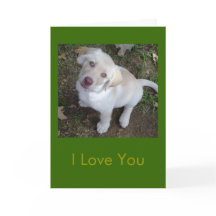 Eu te amo - você é meu humano favorito