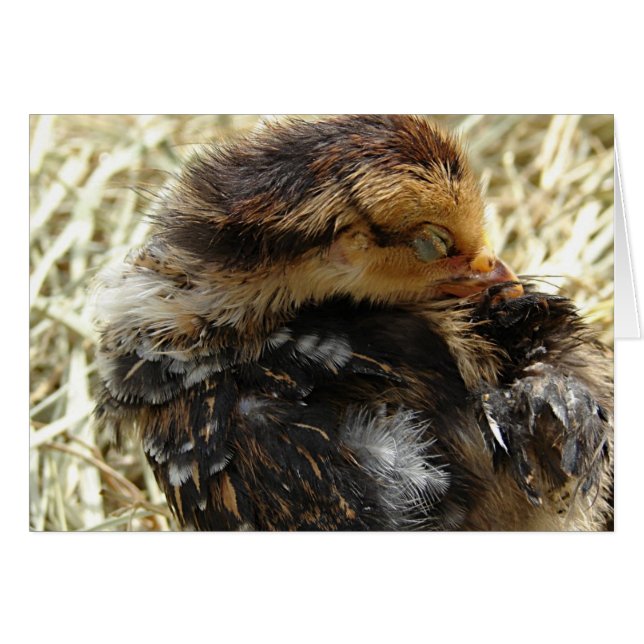 Cartão Eu tenho uma comichão (Frente Horizontal)