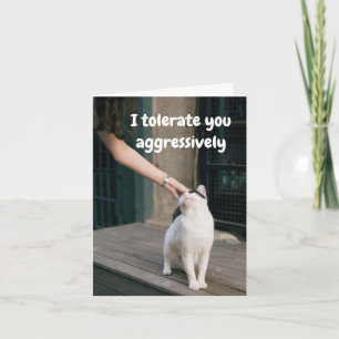 Cartão Eu Tolero Você Engraçado Do Gato