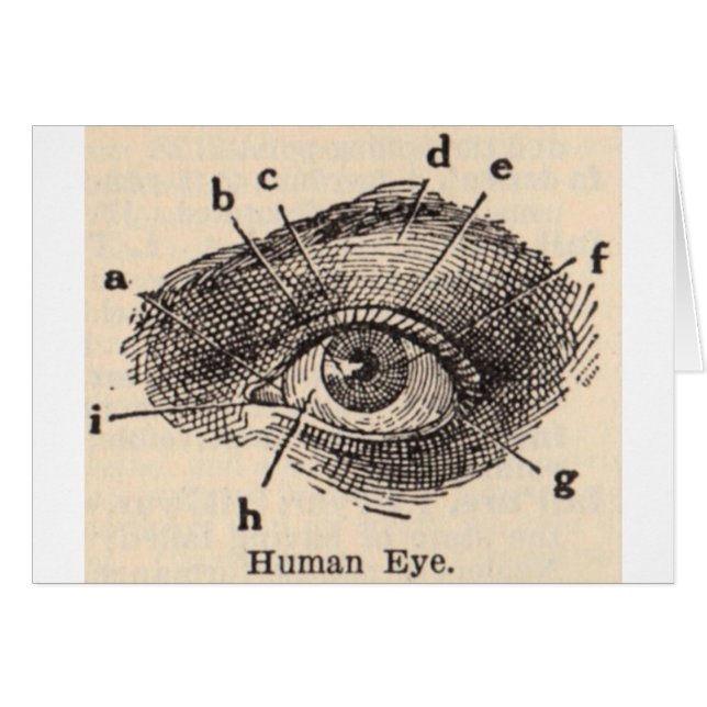 Cartão Eu ver o (Frente Horizontal)