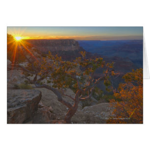 Cartão EUA, arizona, Grand Canyon, ponto de Yavapi em