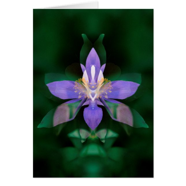 Cartão EUA, Colorado, Boulder County (Frente)