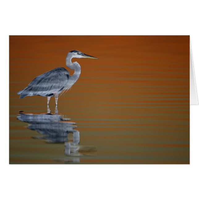 Cartão EUA, Flórida, Ruas. Petersburgo, Fort De Soto 2 (Frente Horizontal)