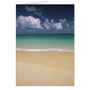 Cartão EUA, Havaí. Cena de praia