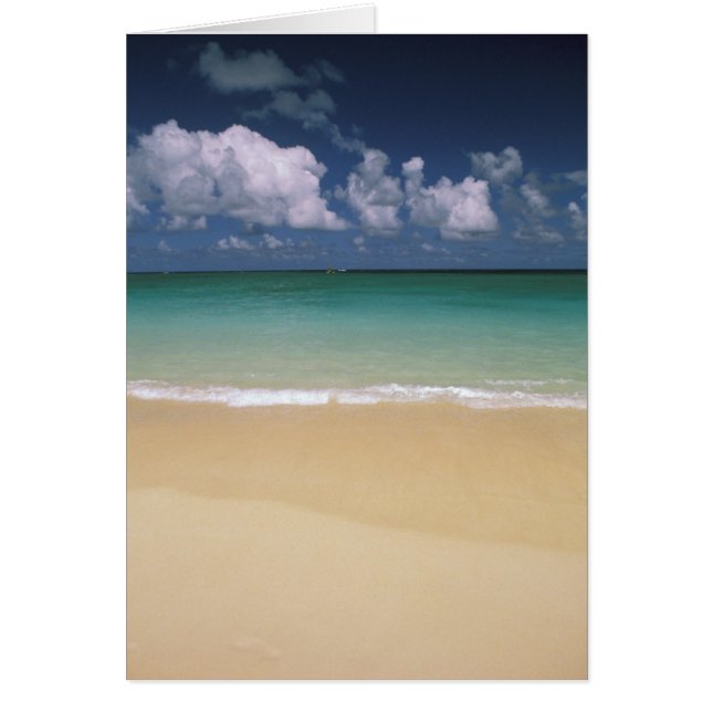 Cartão EUA, Havaí. Cena de praia (Frente)