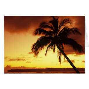 Cartão EUA, Havaí, Maui, Pôr do sol colorido em um