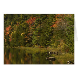 Cartão EUA; Maine; Acadia NP. Reflexos de outono às 2