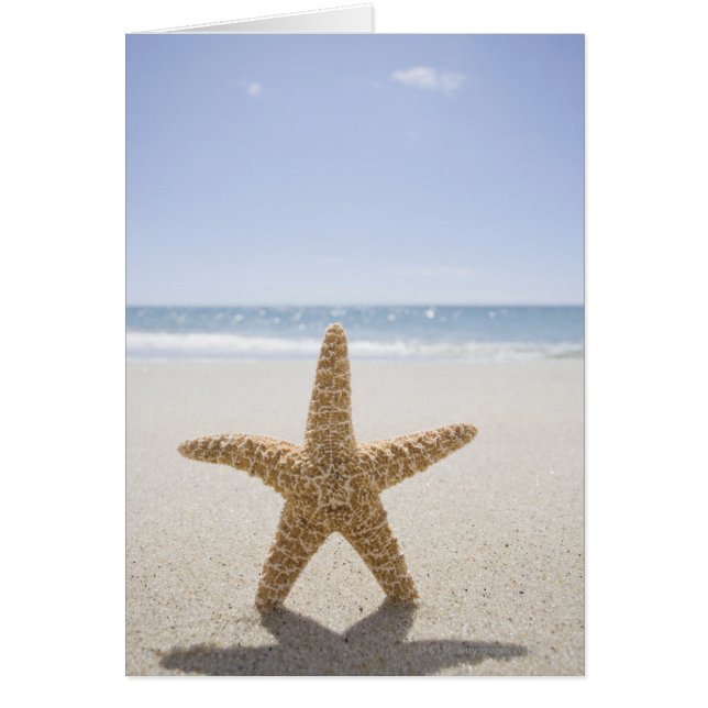 Cartão EUA, Massachusetts, Cape Cod, Nantucket, fecha (Frente)