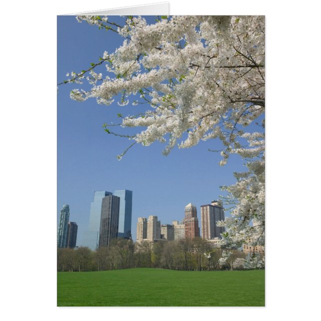 Cartão EUA, Nova Iorque, Nova Iorque, Manhattan: 4 (Frente)