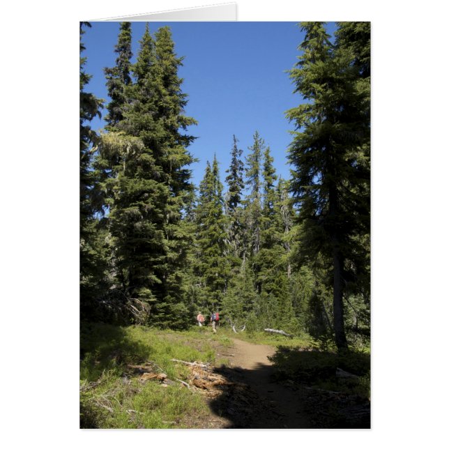 Cartão EUA, Oregon, Floresta Nacional Willamette, outono (Frente)