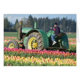 Cartão EUA, Oregon, Woodburn, Festival de Tulipas Wooden
