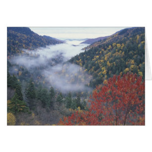 Cartão EUA, Tennessee, Parque Nacional Grandes Montanhas
