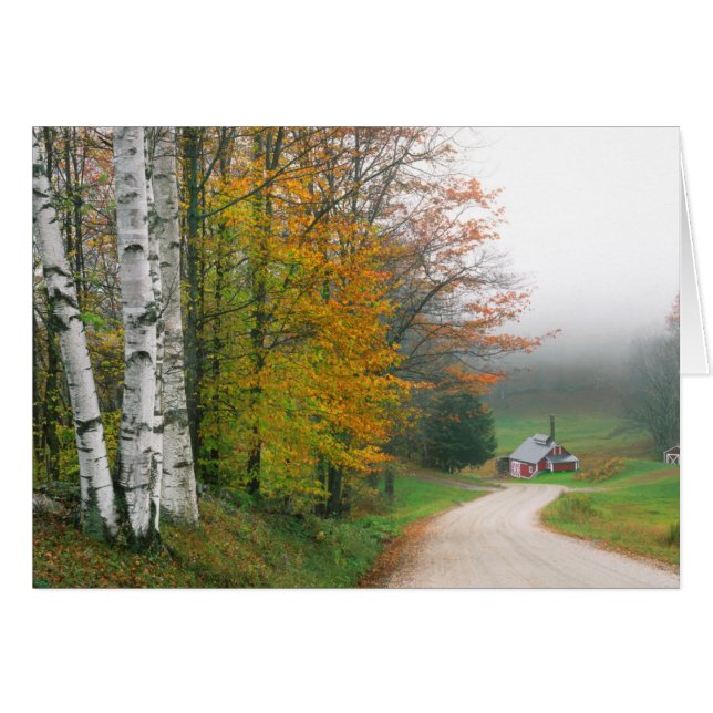 Cartão EUA, Vermont. Casa De Açúcar Perto Da Cidade Do Su (Frente Horizontal)