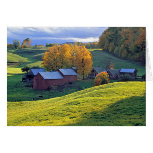 Cartão EUA, Vermont, Jenne Farm. Colinas verdes ondulante
