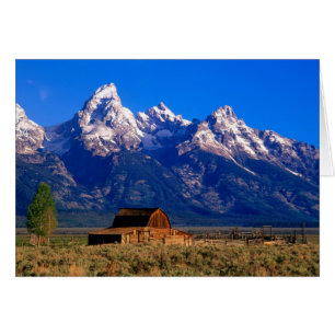 Cartão EUA, Wyoming, Parque Nacional Grand Teton, Manhã