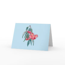 Eucalyptus (Corymbia ficifolia) no Azul