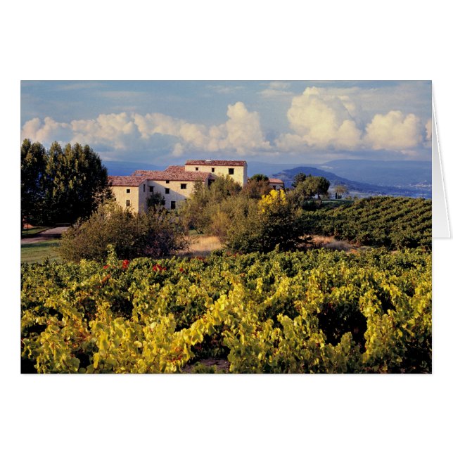 Cartão Europa, França, Bonnieux. Cobrir das vinhas (Frente Horizontal)