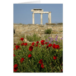 Cartão Europa, Grécia, Cíclades, Delos. Ruínas de coluna.