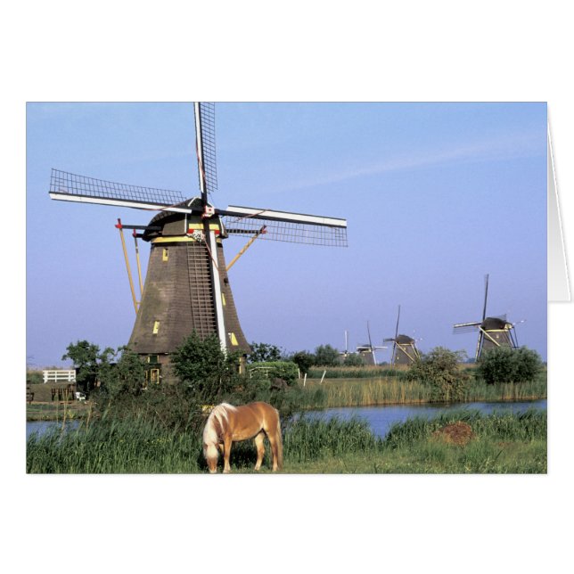 Cartão Europa, Países Baixos, Holanda do Sul, Kinderdijk. (Frente Horizontal)