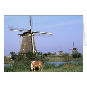 Cartão Europa, Países Baixos, Zuid Holland, Kinderdijk. 2