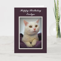 Evelyn Happy Birthday White Cat Card