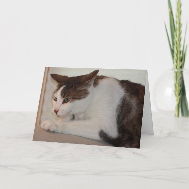 Cartão Even a Good Cat can have a Bad Day! (Frente)