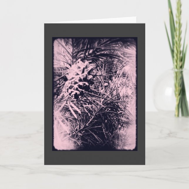 Cartão EverGreen 6 Card 3 (Frente)