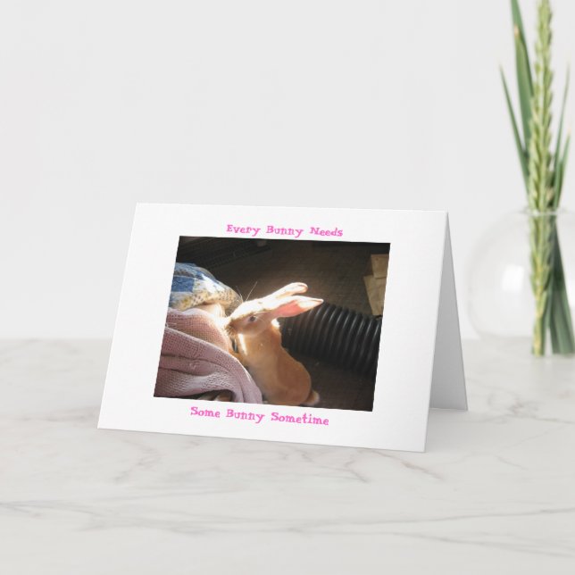 Cartão Every Bunny Needs, Some Bunny Sometime (Frente)