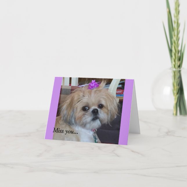 Cartão Everyday Cards/ Grace & Glory (Frente)