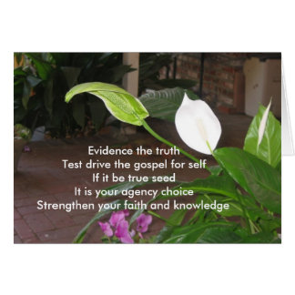 Cartão Evidencie a verdade