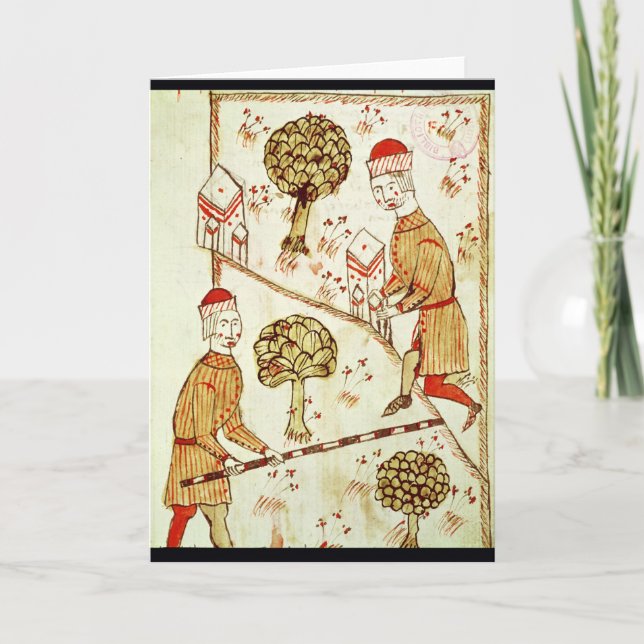 Cartão Exame e delimitação da terra (Frente)