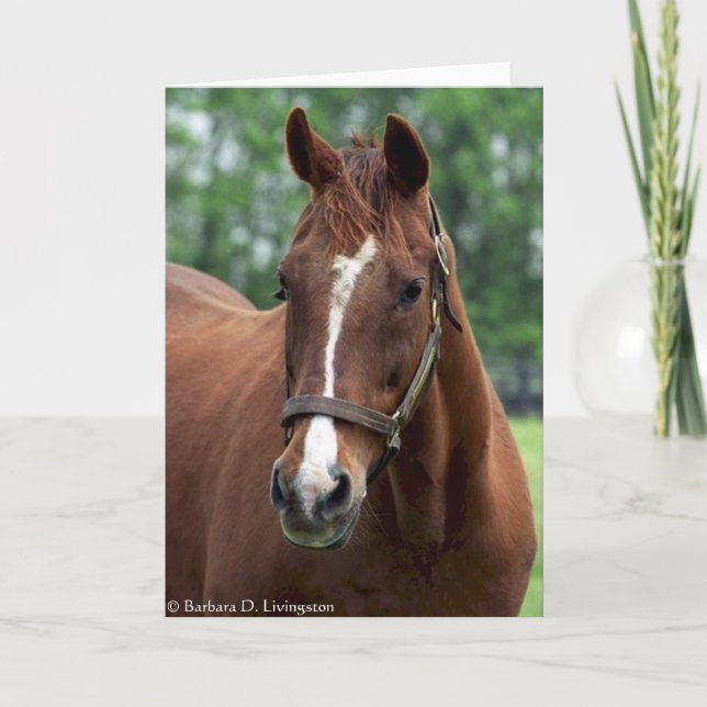 Cartão Exatamente Tão Retrato (Frente)