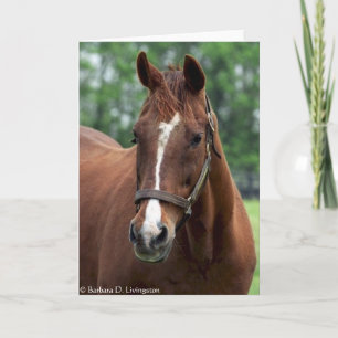 Cartão Exatamente Tão Retrato