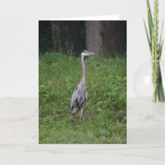 Cartão Excelente Blue Heron