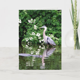 Cartão Excelente Blue Heron e Alligator Greeting Card